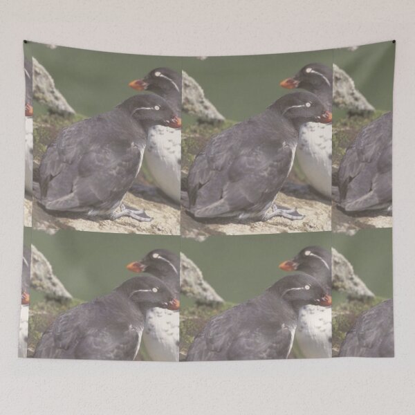 Item preview, Auklets Animals designed and sold by Jodes16.