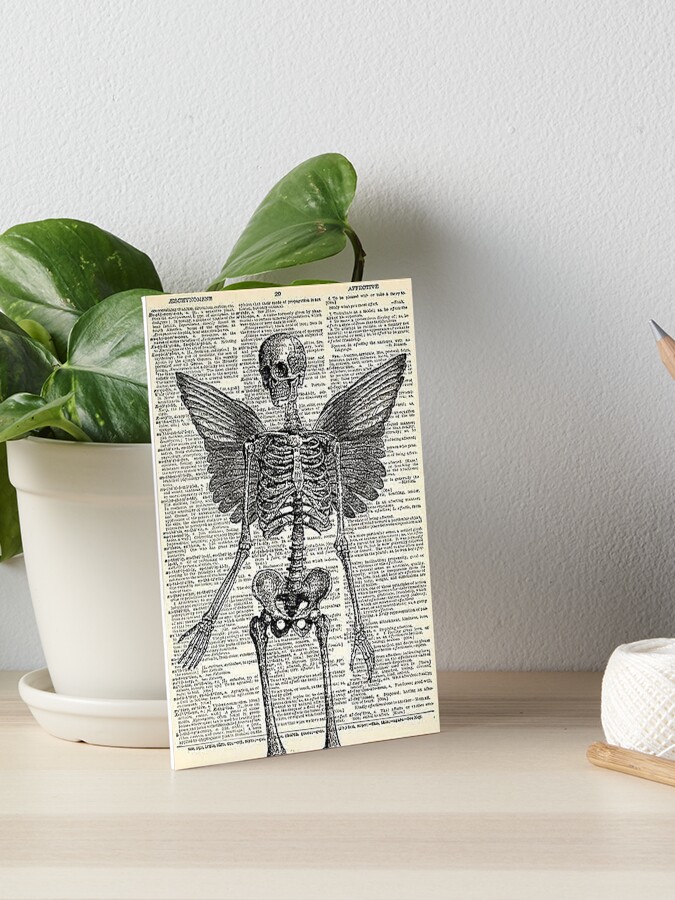 Skeleton Fairy Grunge Fairycore Aesthetic Gothic Cottagecore