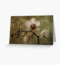 Vintage Greeting Card