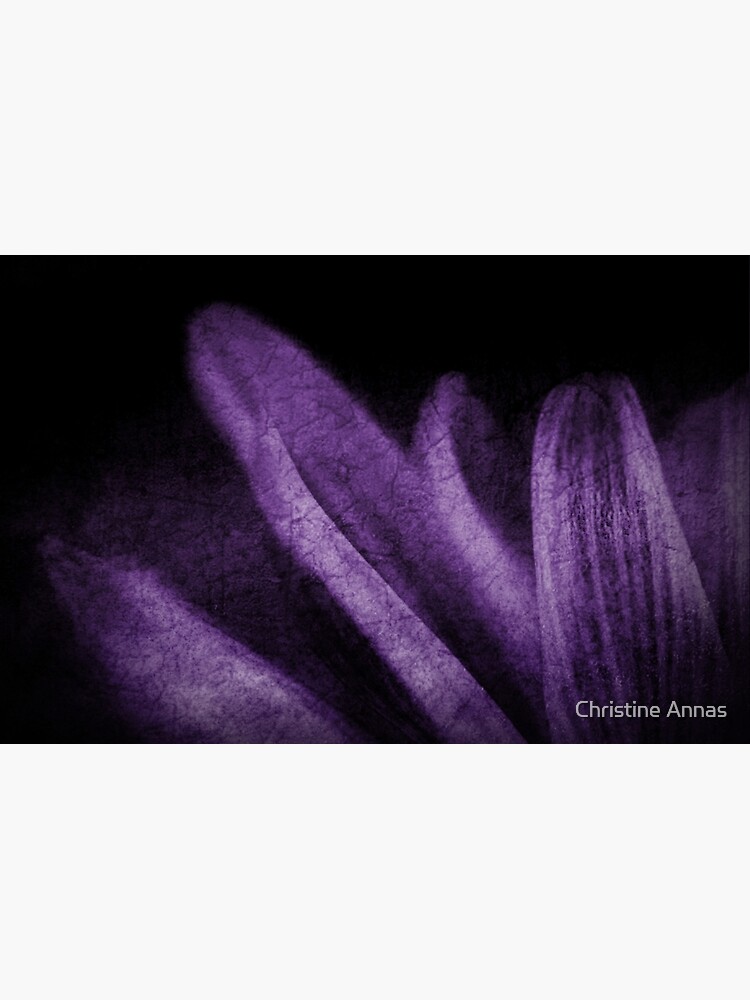 Abstract Petals in Purple Grunge by 2Bricks