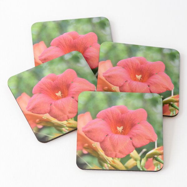 Item preview, Hummingbird Vine Flower designed and sold by DonnaM.