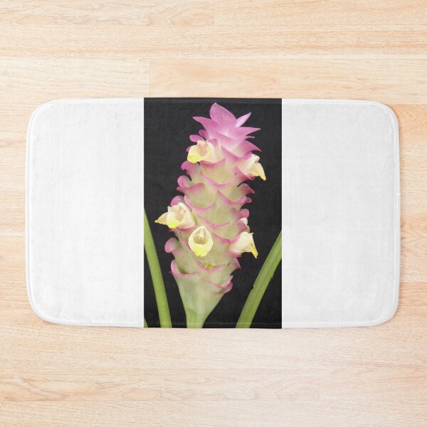Item preview, Bua Chan is Krachiew, beautiful flower, can be found in Thailand. an economic flower designed and sold by greengoodnich.