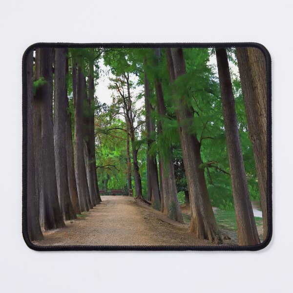 Item preview, The avenue of sequoias designed and sold by annalisa56.