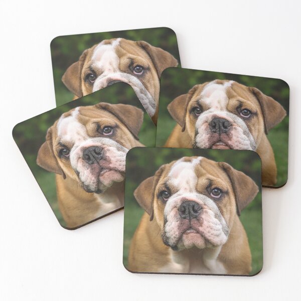 Item preview, Cute English Bulldog dog designed and sold by cabgodfrey.