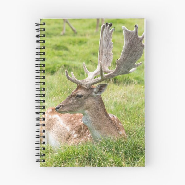 Item preview, Fallow Deer designed and sold by Graphics By Craig.