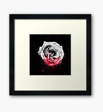 Blood Rose Framed Print