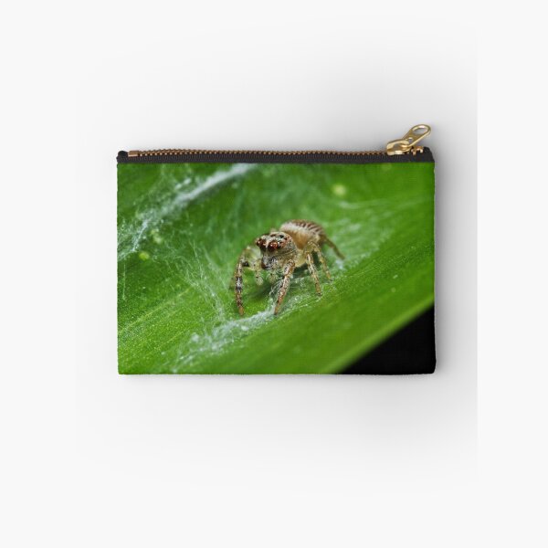 Item preview, Jumping Spider designed and sold by Colin  Ewington.