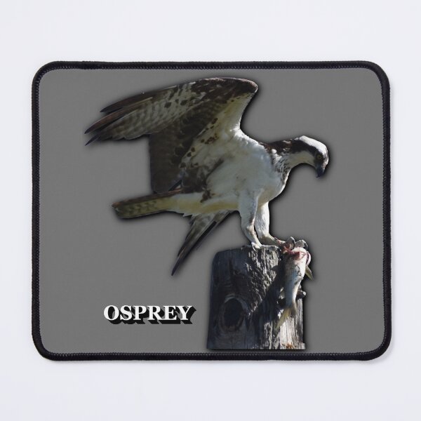 Item preview, Osprey designed and sold by Paul-Prints.