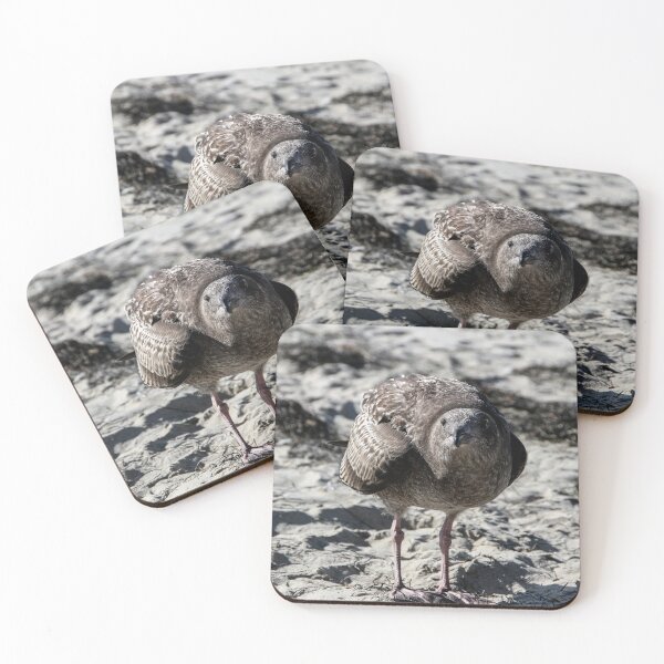 Item preview, Hey Lady, You Got Any Food?  designed and sold by heatherfriedman.