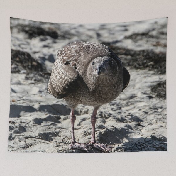 Item preview, Hey Lady, You Got Any Food?  designed and sold by heatherfriedman.