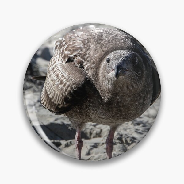Item preview, Hey Lady, You Got Any Food?  designed and sold by heatherfriedman.