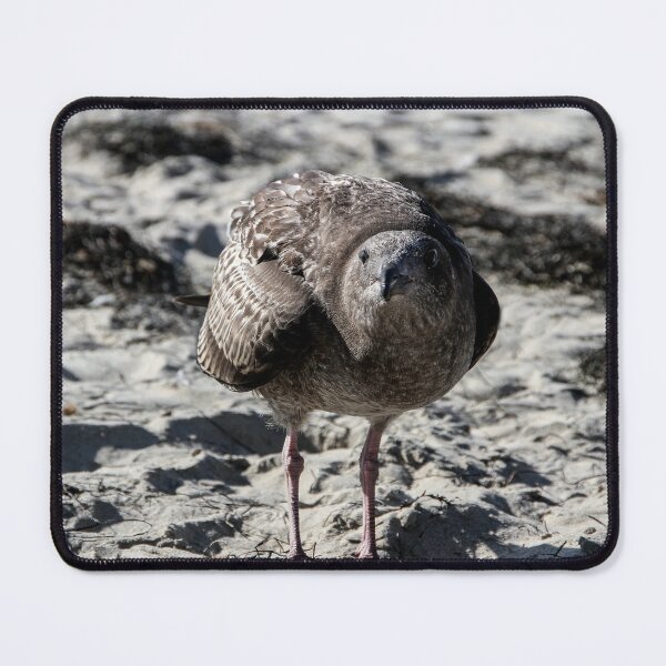 Item preview, Hey Lady, You Got Any Food? designed and sold by heatherfriedman.