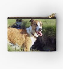 Our pal Mango Studio Pouch