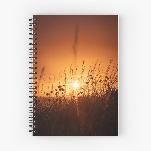 Item preview, Hilbre Grasses at Sunset on the Summer Equinox designed and sold by neonlightphoto.