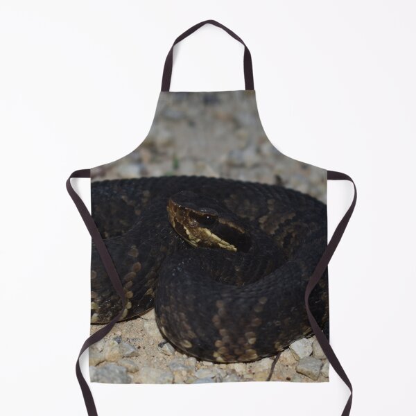 Item preview, Northern Cottonmouth Print designed and sold by Paul-Prints.