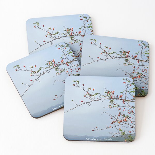 Item preview, Rosa canina designed and sold by AHELENE.