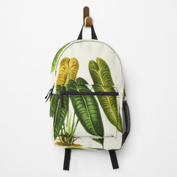 Item preview, Anthurium Veitchii botanical illustration designed and sold by chimakingthings.