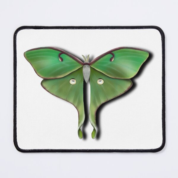 Item preview, Green Luna Moth designed and sold by Xenia Blankinship.