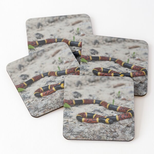 Item preview, Texas Coral Snake Print designed and sold by Paul-Prints.