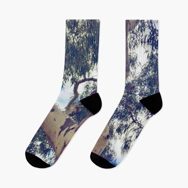 Item preview, Jarvis, the Koala | Hazelwood Park | Adelaide | Australia designed and sold by iwaya-bazaar.
