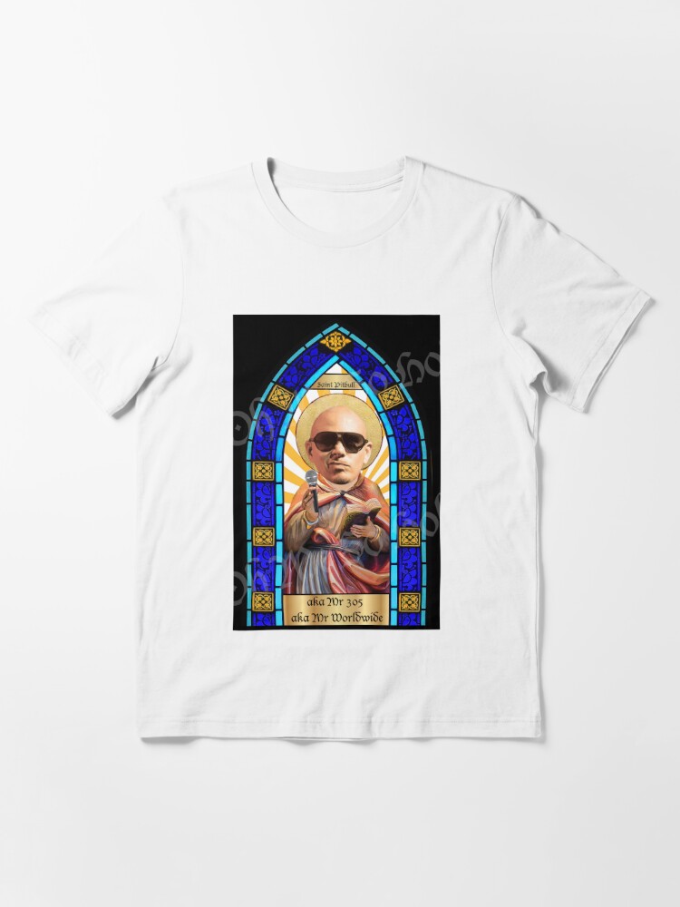 Mr. Worldwide Pitbull dollar | Essential T-Shirt