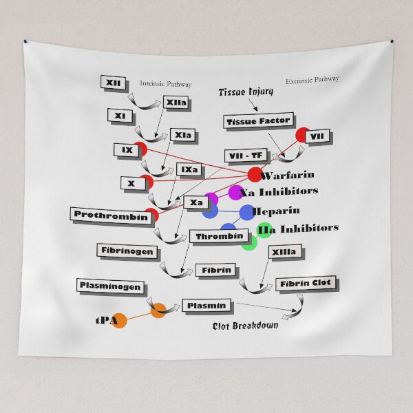 Item preview, Anticoagulation designed and sold by milesromney.