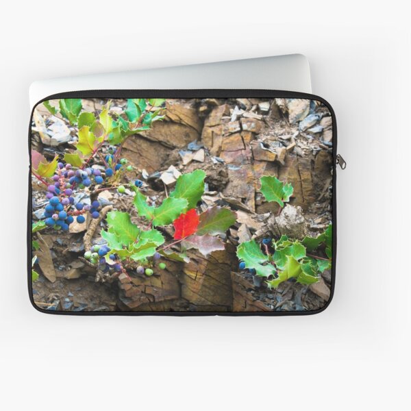 Hidden Treasures Laptop Sleeve