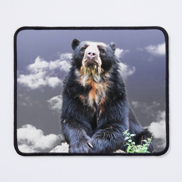 Item preview, Andean Bear designed and sold by amira.