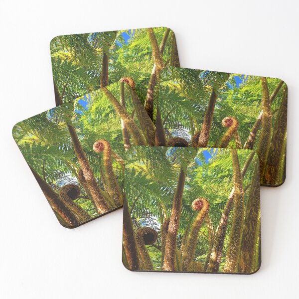 Item preview, Fern Gully | Botanic Gardens | Adelaide | South Australia | Australia designed and sold by iwaya-bazaar.