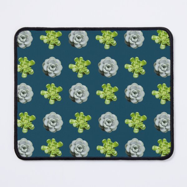 Item preview, Small Succulents Pack designed and sold by PNWBeePhotos.