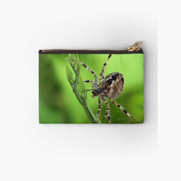 Item preview, Arachnid In The Limelight designed and sold by Gary Fairhead.