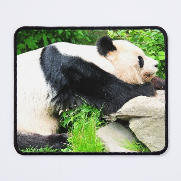 Item preview, Pondering Panda designed and sold by amira.
