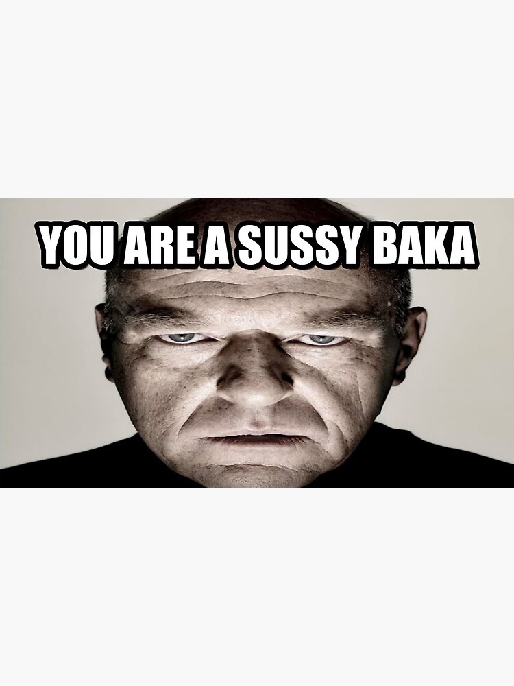 You're Not a Sussy Baka