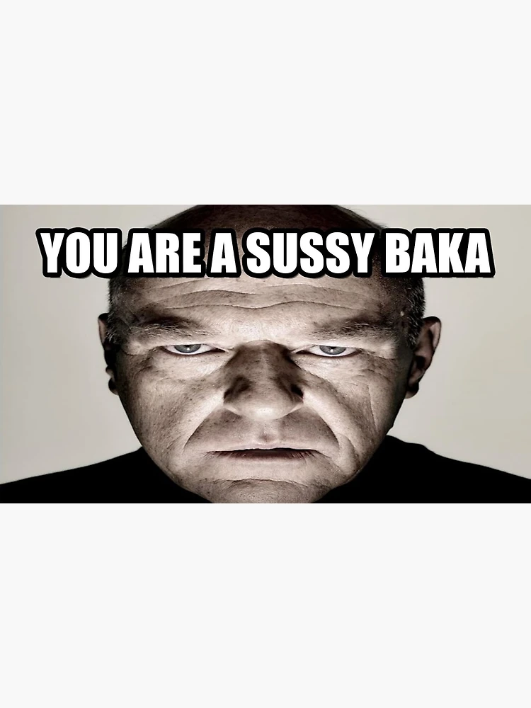 Are you the sussy meme? : r/hmaz