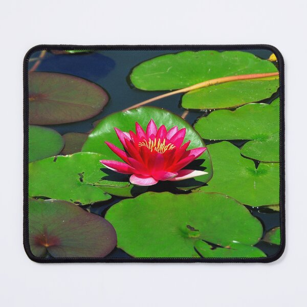 Item preview, Nymphaea designed and sold by amira.