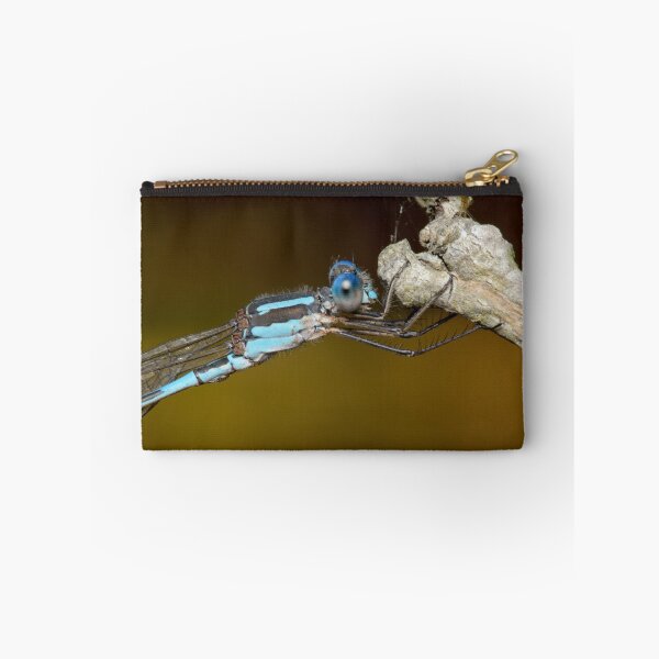 Item preview, Wandering ringtail - Austrolestes leda designed and sold by Andrew Trevor-Jones.