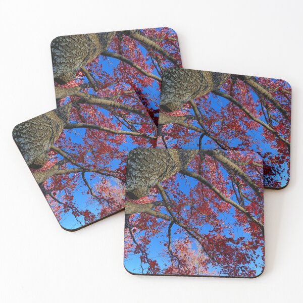 Item preview, Autumn | Fall | Mapple Tree | Stirling | Adelaide |Australia designed and sold by iwaya-bazaar.