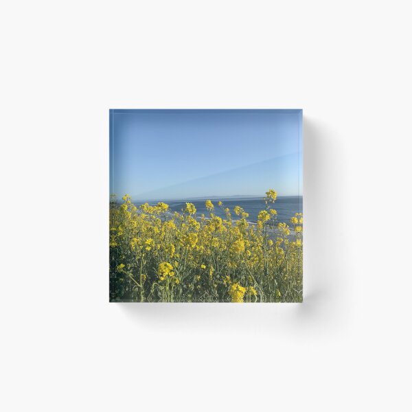 Item preview, Feel that Sunshine designed and sold by TrilliumDesign.