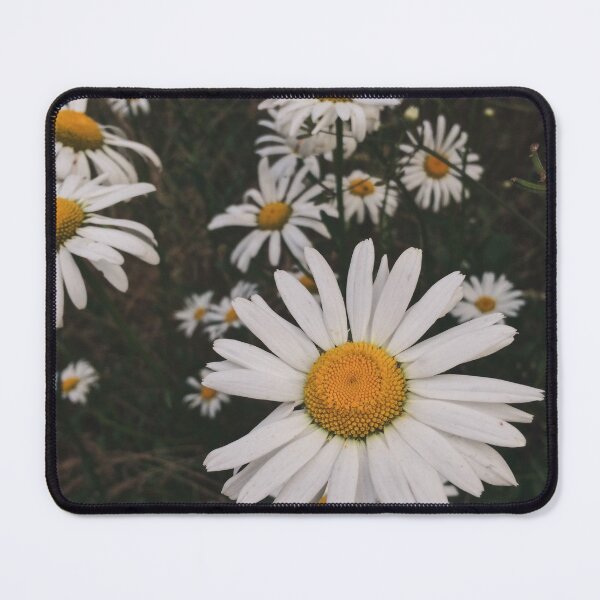 Item preview, Daisy Dreams designed and sold by TrilliumDesign.