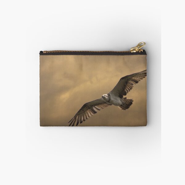 Item preview, Houdini Flies designed and sold by byronbackyard.
