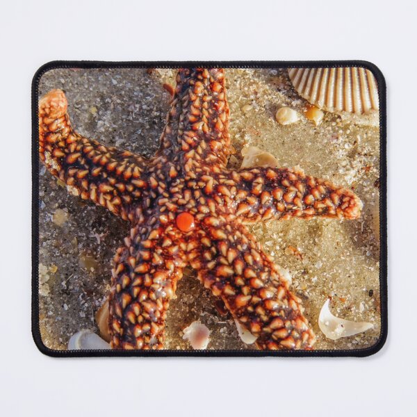 Item preview, Starfish designed and sold by Zina Stromberg.