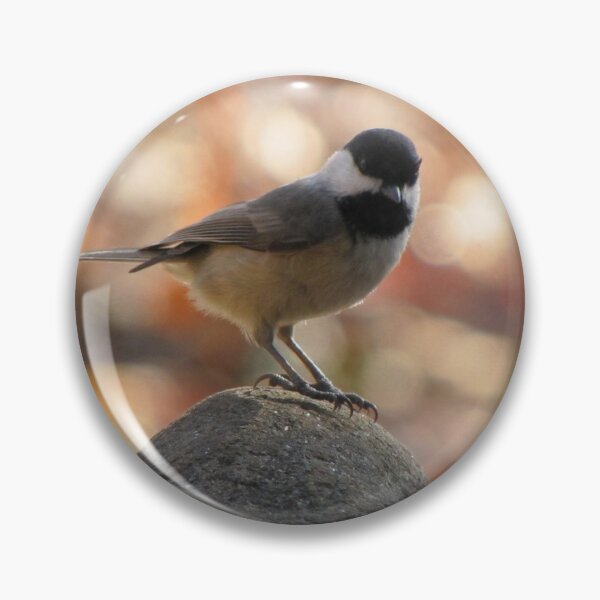 Item preview, Carolina Chickadee On Rock designed and sold by Jean Gregory Evans.