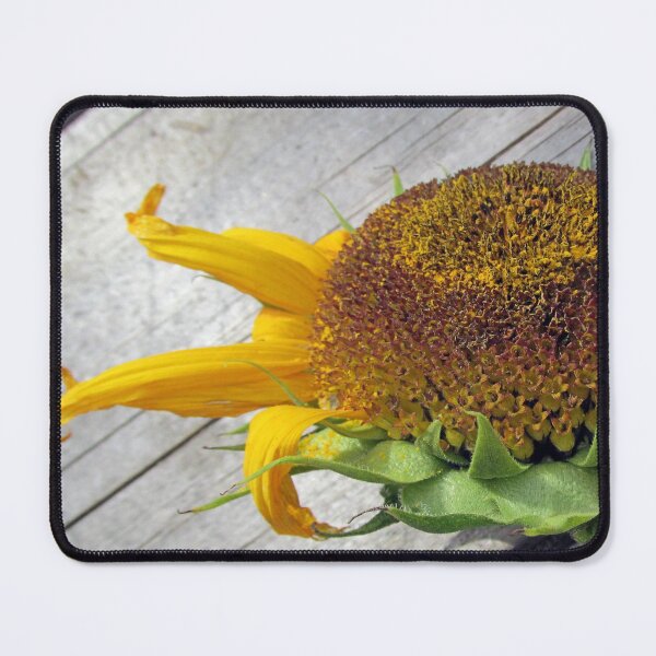 Item preview, Supine Sunflower  designed and sold by AuntyReni.
