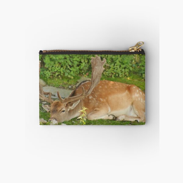 Item preview, Resting after the Rutting Season designed and sold by AnnDixon.