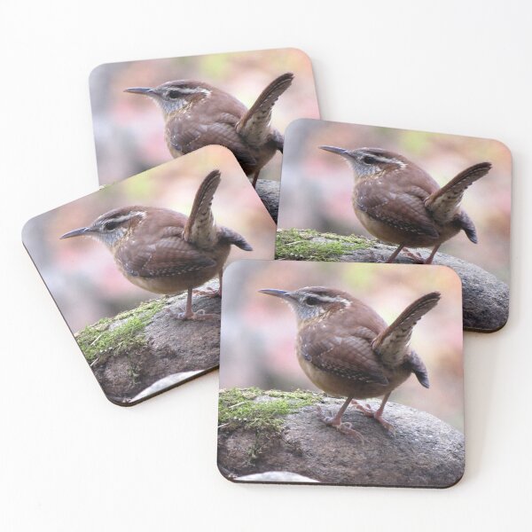 Item preview, CAROLINA WREN designed and sold by Jean Gregory Evans.