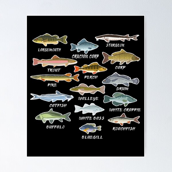 Vintage Fish Print, French Fish Chart Biology Poster Fishing