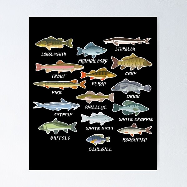 Types Of Freshwater Fish Species Fishing T-Shirt | Poster