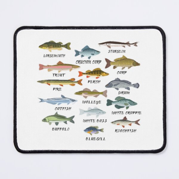 Item preview, Types Of Freshwater Fish Species Fishing T-Shirt designed and sold by lovelystore200.