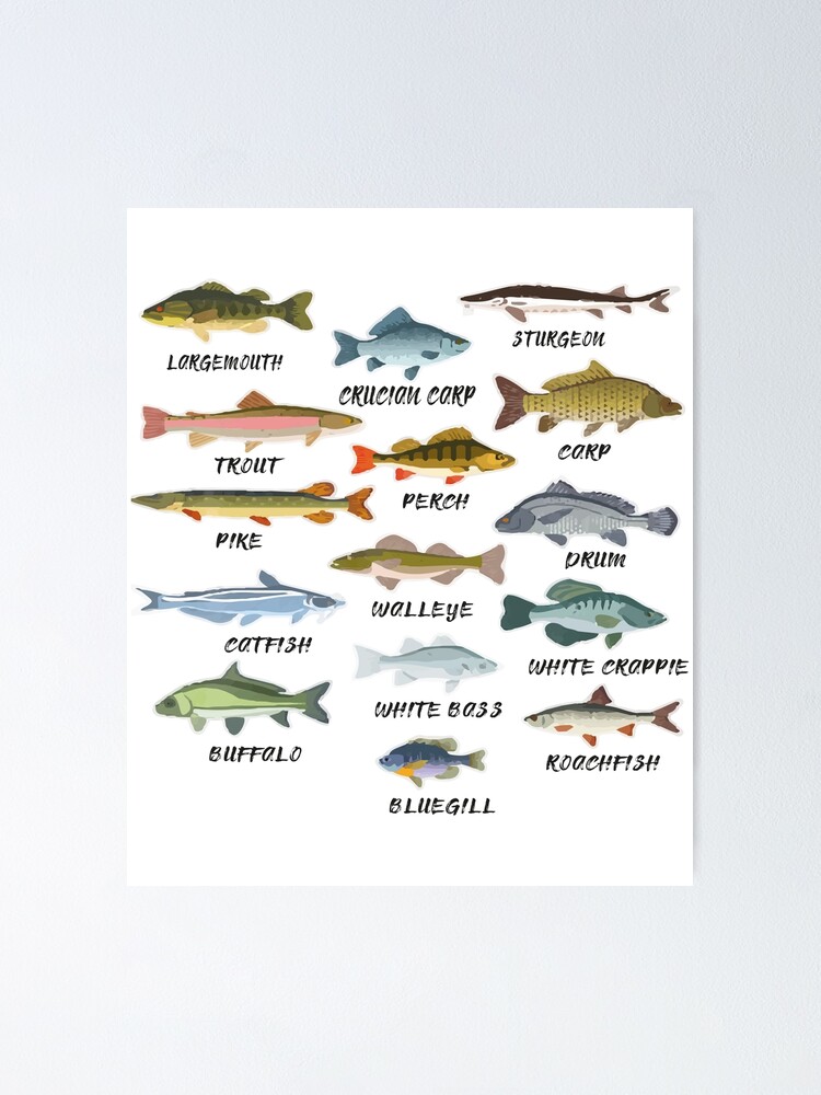 Types Of Freshwater Fish Species Fishing T-Shirt Poster for Sale
