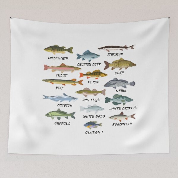 Item preview, Types Of Freshwater Fish Species Fishing T-Shirt designed and sold by lovelystore200.